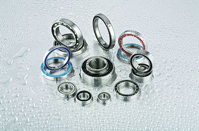 Stainless Steel Bearing